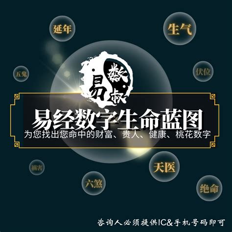 易经数字学分析|张其金深度剖析《易经》象数派：解读天地之道，揭示人生智慧